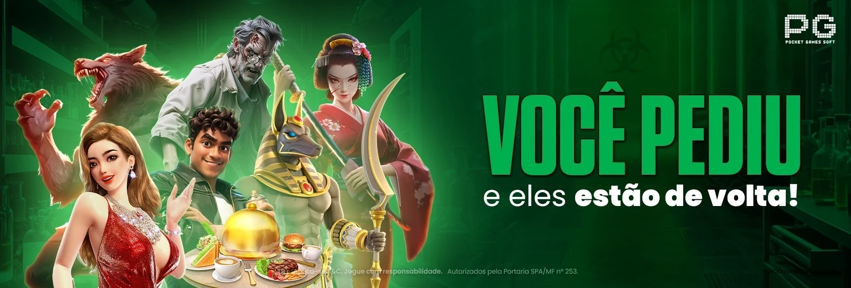 Login seguro na Raccoonpg